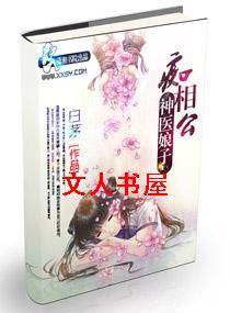 神医娘子痴相公封面