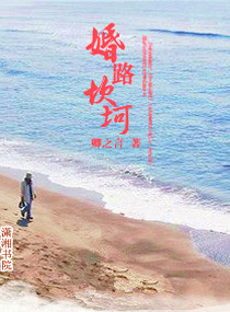 婚路坎坷封面