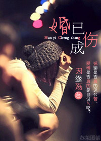 婚已成伤封面