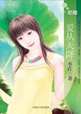 爱从天降封面
