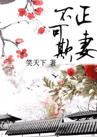 ���޲�����