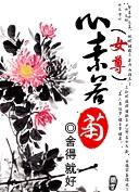 心素如菊封面