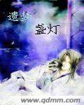 遗梦盏灯封面