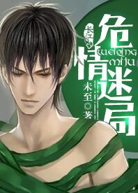 危情迷局封面