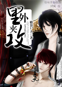 里外夹攻封面