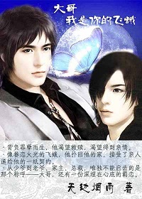 大哥,我是你的飞蛾封面