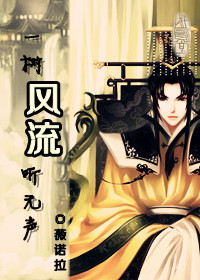 一树风流听无声封面