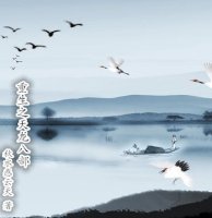 ����֮�����˲�