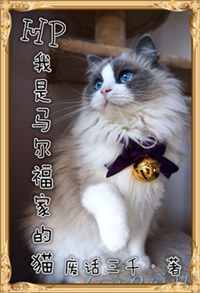 [hp]�����������ҵ�è