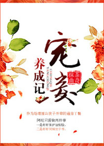 ������ɼ�