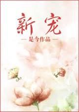 新宠封面