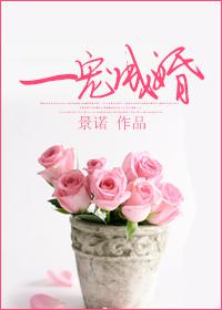 һ��ɻ����