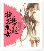 特工凰女惹不起封面