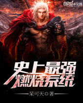 ʷ����ǿȼ��ϵͳ