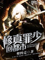 修真罪少回都市封面