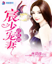 宸少宠妻请低调封面