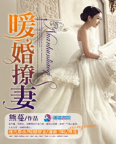 暖婚撩妻封面