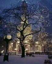 ��ѧ԰֮����