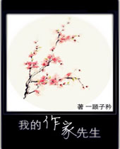 我的作家先生封面