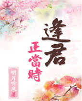 逢君正当时封面