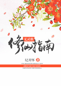 ���������ָ��