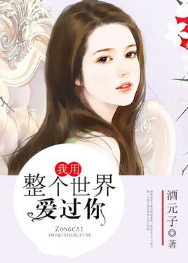 我用整个世界爱过你封面