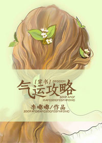 气运攻略封面