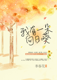 ����һ�����տ�