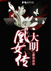 大明凰女传封面