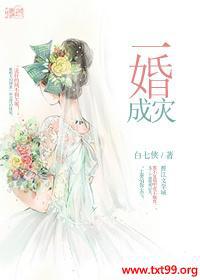 一婚成灾封面