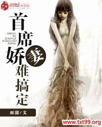 首席娇妻难搞定封面