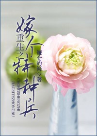 重生之嫁个特种兵封面